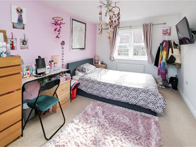 Picture 10